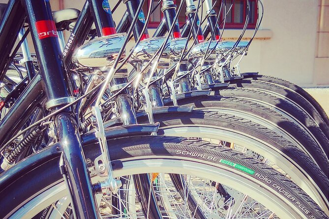 2 1/2h Guided Bicycle Tour Discover Heidelberg - The pace, group size, and guides shape the experience