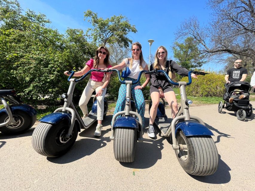 2 Hours Hamburg E-scooter Tour - Why a Segway is a useful way to see Hamburg