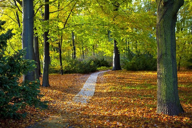 3-Hour Bike Tour of Tiergarten and Berlin's Hidden Places - Key points to know before you book