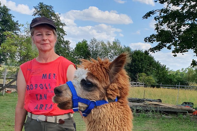 Alpaca hike in the Barnimer Feldmark - Meeting the alpacas at Buchholz Saloon