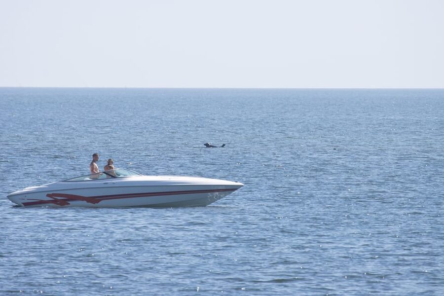 Baabe on Rügen: Seal-Spotting Cruise in the Baltic - What the 2.5-hour schedule feels like