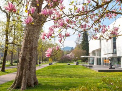 Baden-Baden: Sightseeing Highlights Guided Walking Tour