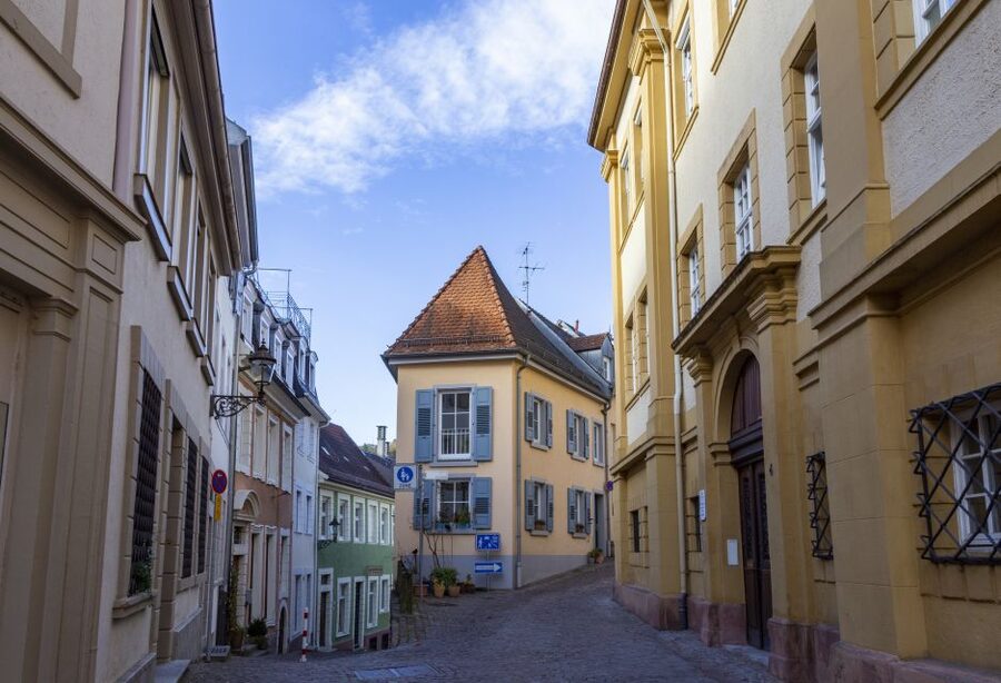 Baden-Baden: Sightseeing Highlights Guided Walking Tour - Price, pace, and practical comfort