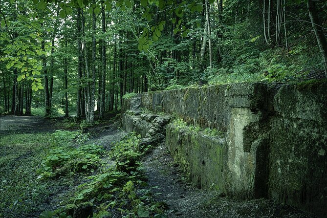 Berchtesgaden-Obersalzberg Private Half Day WWII Historical Tour - Is $588.75 good value for six people?