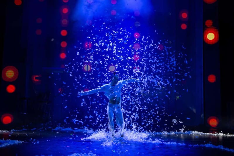 Berlin: "90s Forever - Hits & Acrobatics" - Varieté Show - Is $51 a fair price?