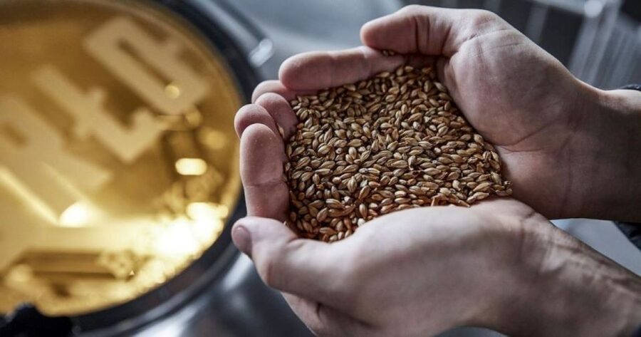 Berlin: BRLO BRWHOUSE Tour and Craft Beer Tasting - Who should book this Berlin beer experience?
