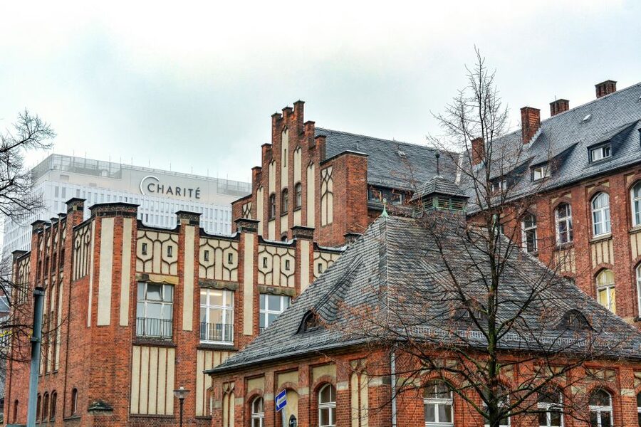 Berlin: Charité Hospital History Walking Tour - Charité under the Nazi regime