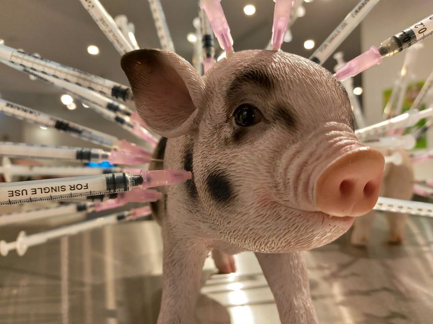 Berlin: Disgusting Food Museum Entry Ticket and Tasting - Key points to know before you go