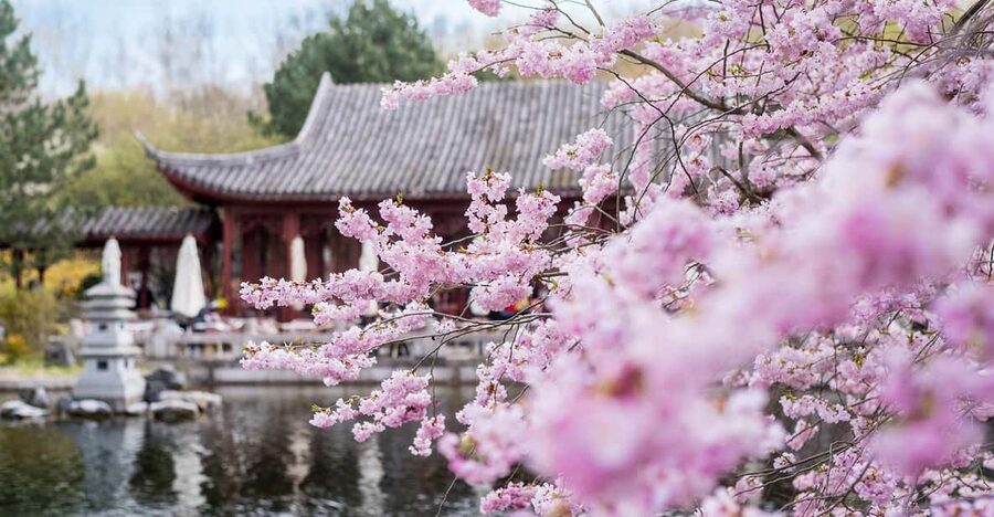 Berlin: Gärten der Welt Guided Tour - The Balinese Garden: A Different Garden Tradition
