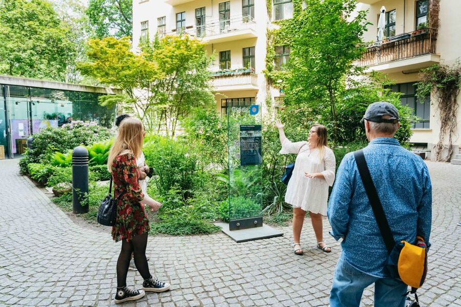Berlin: Hidden Backyards Guided Walking Tour - What the guide adds to the experience