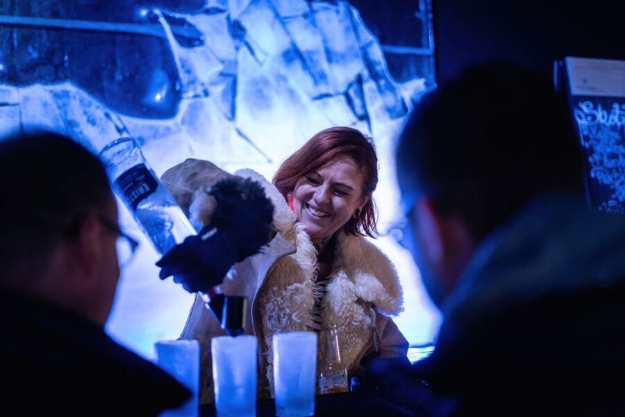 Berlin: Hop-On Hop-Off Bus and Icebar Ticket Combo - Berlin Zoo and the blue route
