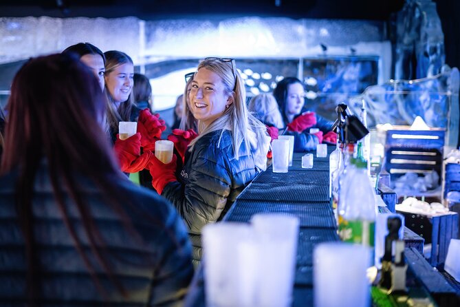 Berlin Icebar Experience Including 3 drinks - What the one-hour visit is really like