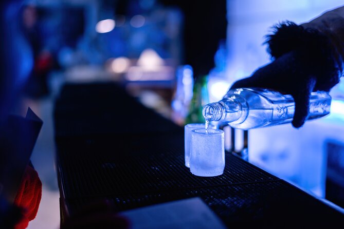 Berlin Icebar Experience Including 3 drinks - Practical tips for a smoother visit