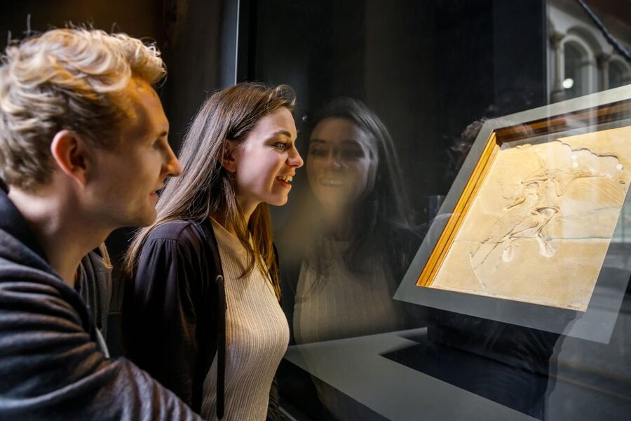 Berlin: Natural History Museum Entrance Ticket - The Archaeopteryx fossil and the value of seeing the original