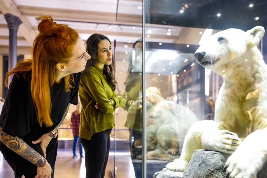Berlin: Natural History Museum Entrance Ticket - How long you should allow