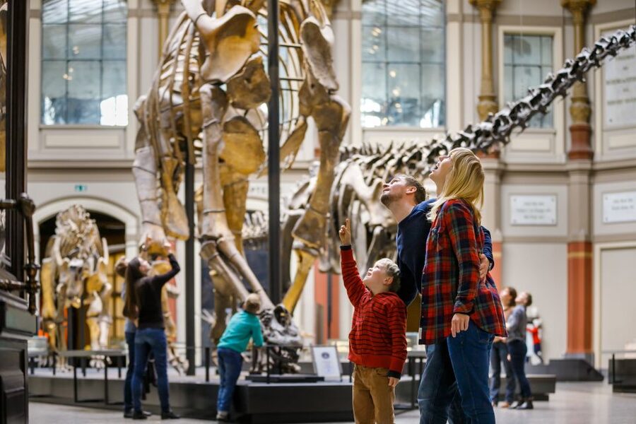Berlin: Natural History Museum Entrance Ticket - The Dinosaur Hall and Berlin’s giant Jurassic welcome