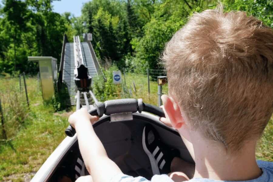 Berlin: Nature Bobsled Run Ticket - Safety rules that can affect your plans