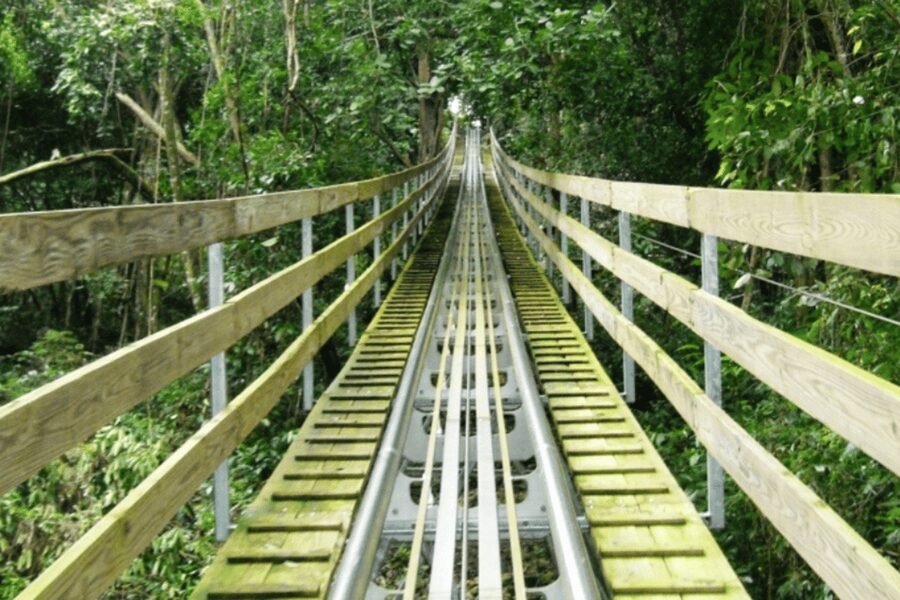 Berlin: Nature Bobsled Run Ticket - Is $7 good value?