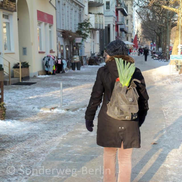 Berlin: Prenzlauer Berg District Guided Walking Tour - Why Prenzlauer Berg makes a good walking tour