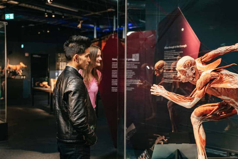 Berlin: Tickets for the BODY WORLDS Museum in Berlin - Arriving at Panoramastraße 1a