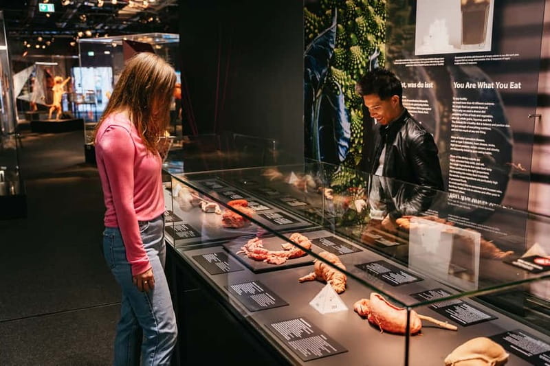 Berlin: Tickets for the BODY WORLDS Museum in Berlin - Muscles and organs work as a team