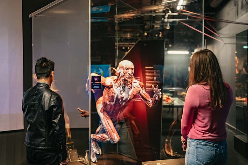 Berlin: Tickets for the BODY WORLDS Museum in Berlin - The nervous system, stress, and happiness