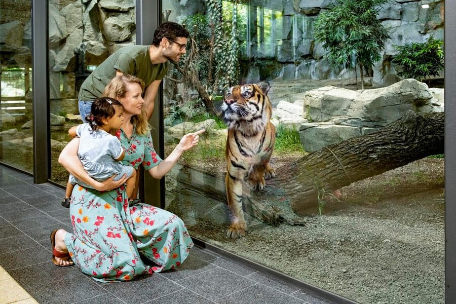 Berlin: Tickets for the Tierpark in East Berlin - Starting with the park’s biggest animal areas