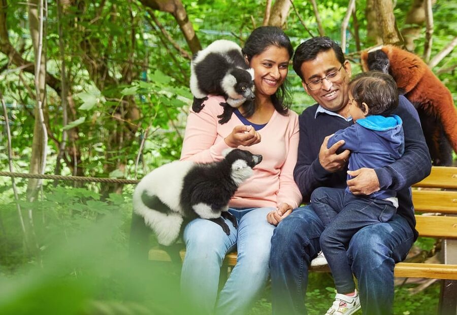 Berlin: Tickets for the Tierpark in East Berlin - Himalayas, Southeast Asia, and the Vari Forest