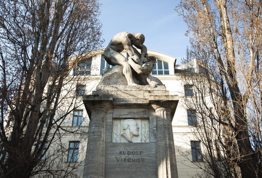 Berlin: walking tour about Charité - The doctors behind Berlin’s medical reputation