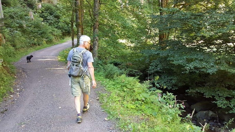 Black Forest: Ravenna Gorge Hike, Self-Guided - Key points to know before you go