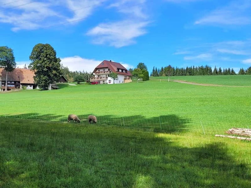 Black Forest: Ravenna Gorge Hike, Self-Guided - Why Hinterzarten is the right starting point