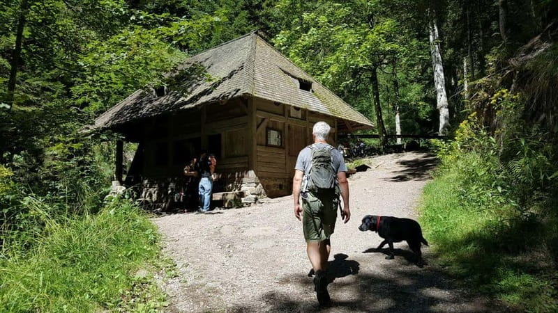 Black Forest: Ravenna Gorge Hike, Self-Guided - The chapel and the cuckoo clock