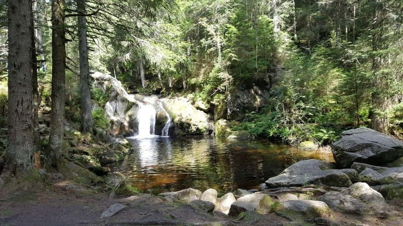 Black Forest: Ravenna Gorge Hike, Self-Guided - How hard is the hike?