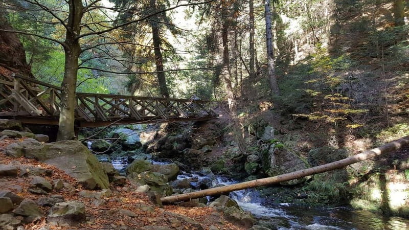 Black Forest: Ravenna Gorge Hike, Self-Guided - Following the old valley route into Ravenna Gorge