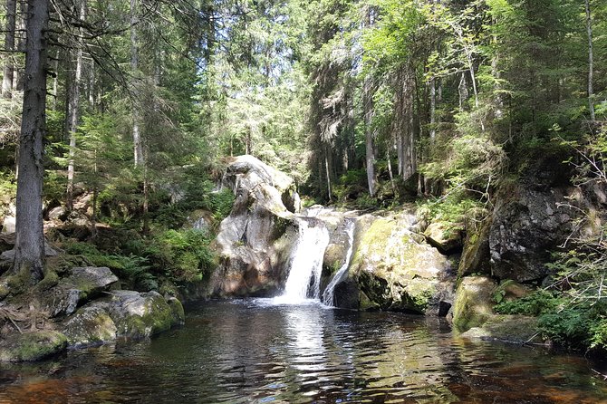 Black Forest Tour by car - Quick Tour from Freiburg - The value of local detours