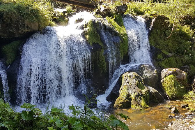 Black Forest Tour by car - Quick Tour from Freiburg - Price: expensive for four hours, sensible for the right group