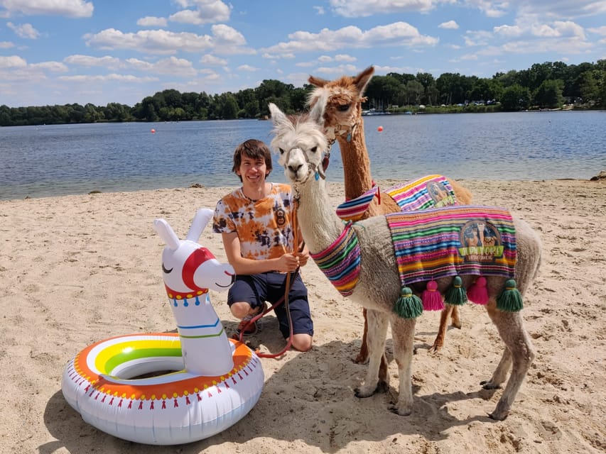 Braunschweig: Alpaca Trekking Tour - Should You Book the Braunschweig Alpaca Trek?