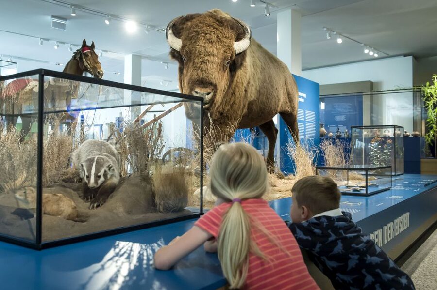 Bremen: Übersee Museum Entrance Ticket - Africa’s animals and the story of human origins