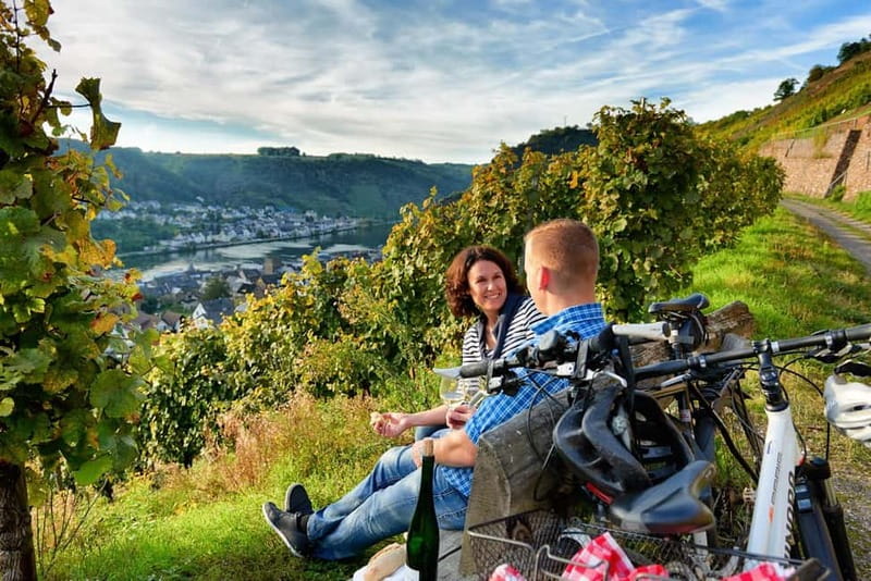 Cochem: Bike and Boat Tour with Picnic and Wine Tasting - The Picnic Beside the River