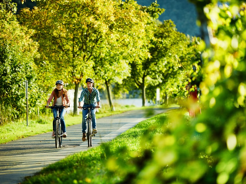 Cochem: Bike and Boat Tour with Picnic and Wine Tasting - Time to See Cochem and Reichsburg