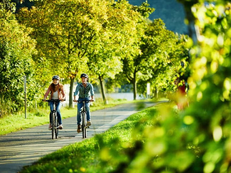 Cochem: Bike and Boat Tour with Picnic and Wine Tasting - Choosing Between the 10-Kilometer and 23-Kilometer Routes