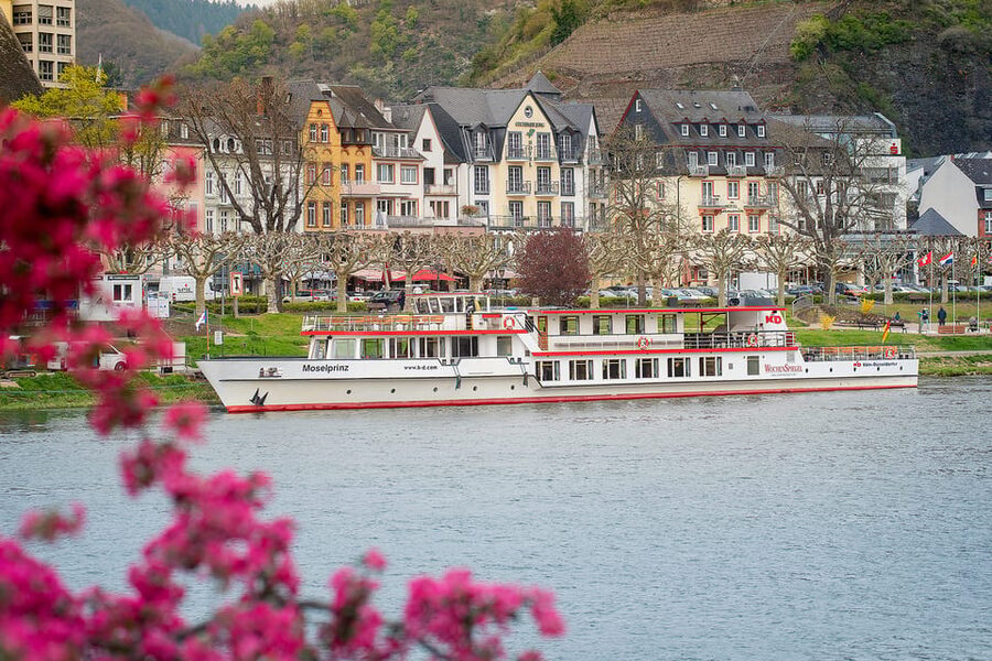 Cochem: KD Panoramic Evening Cruise on the Moselle River - Who will enjoy the MS Moselprinz most