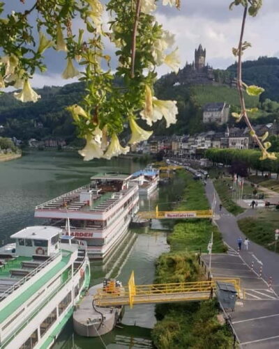 Cochem: Panorama-Schiff-Tour 1 Stunde bis Ernst und zurück