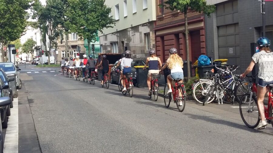 Cologne: 3-Hour Guided Bike Tour - Cologne Cathedral, Museum Ludwig, and Old Market