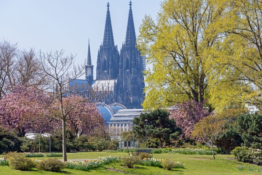 Cologne: City Highlights Segway Tour - Rheinpark, Tanzbrunnen, and the return along the river