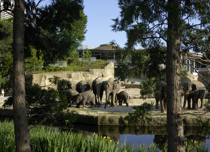 Cologne: Cologne Zoo and Aquarium Entry Ticket - The Asian elephant park deserves first priority