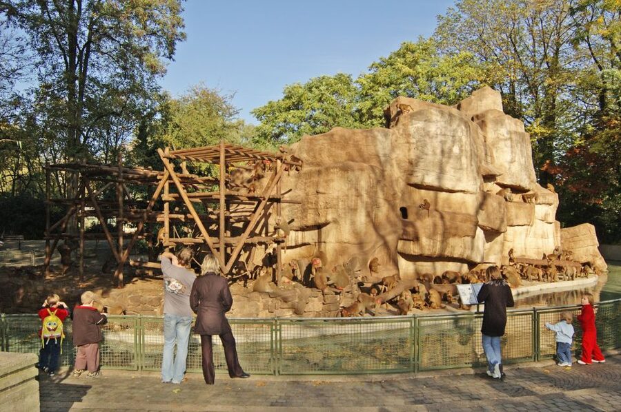 Cologne: Cologne Zoo and Aquarium Entry Ticket - South America, sloths, monkeys, and piranhas