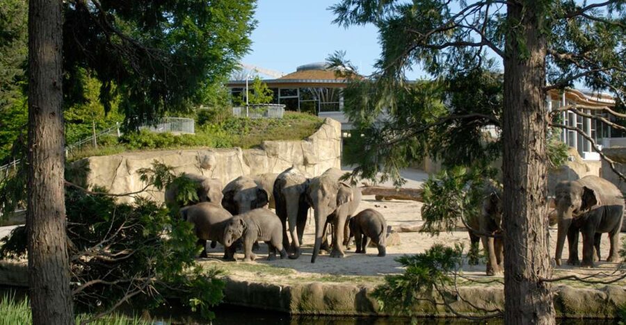 Cologne: Cologne Zoo and Aquarium Entry Ticket - Getting to Rieler Strasse 173