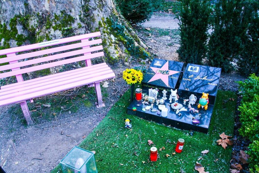 Cologne: Guided Tour of Melatenfriedhof - Walking Among 5,500 Graves
