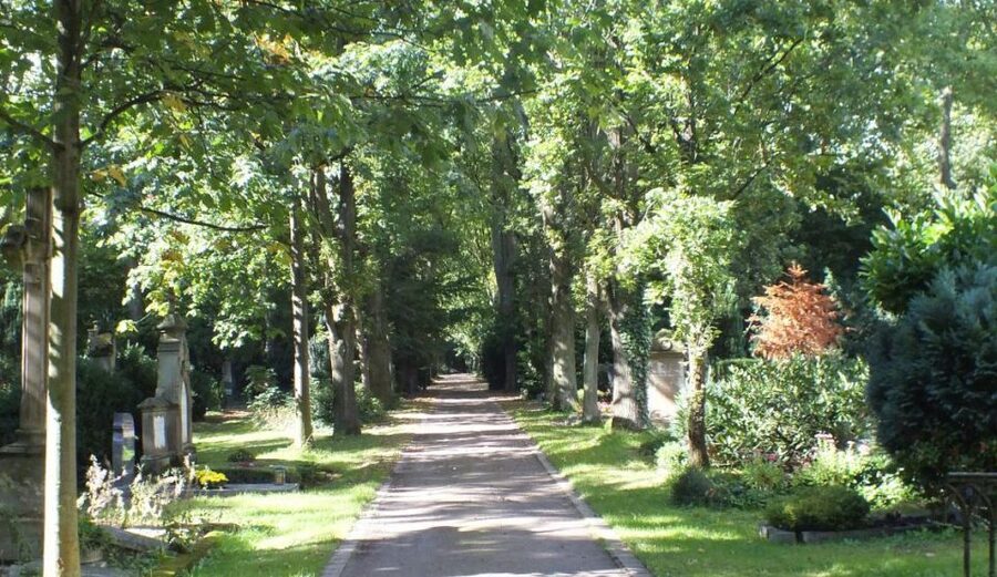 Cologne: Melaten Cemetery Life, Love and Death Tour - Weather, access, and what to bring